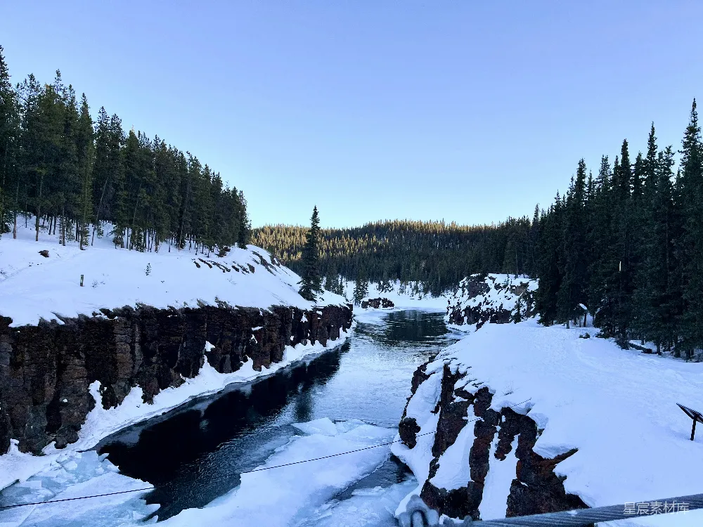 高清摄影 一条河流穿过覆有白雪的森林