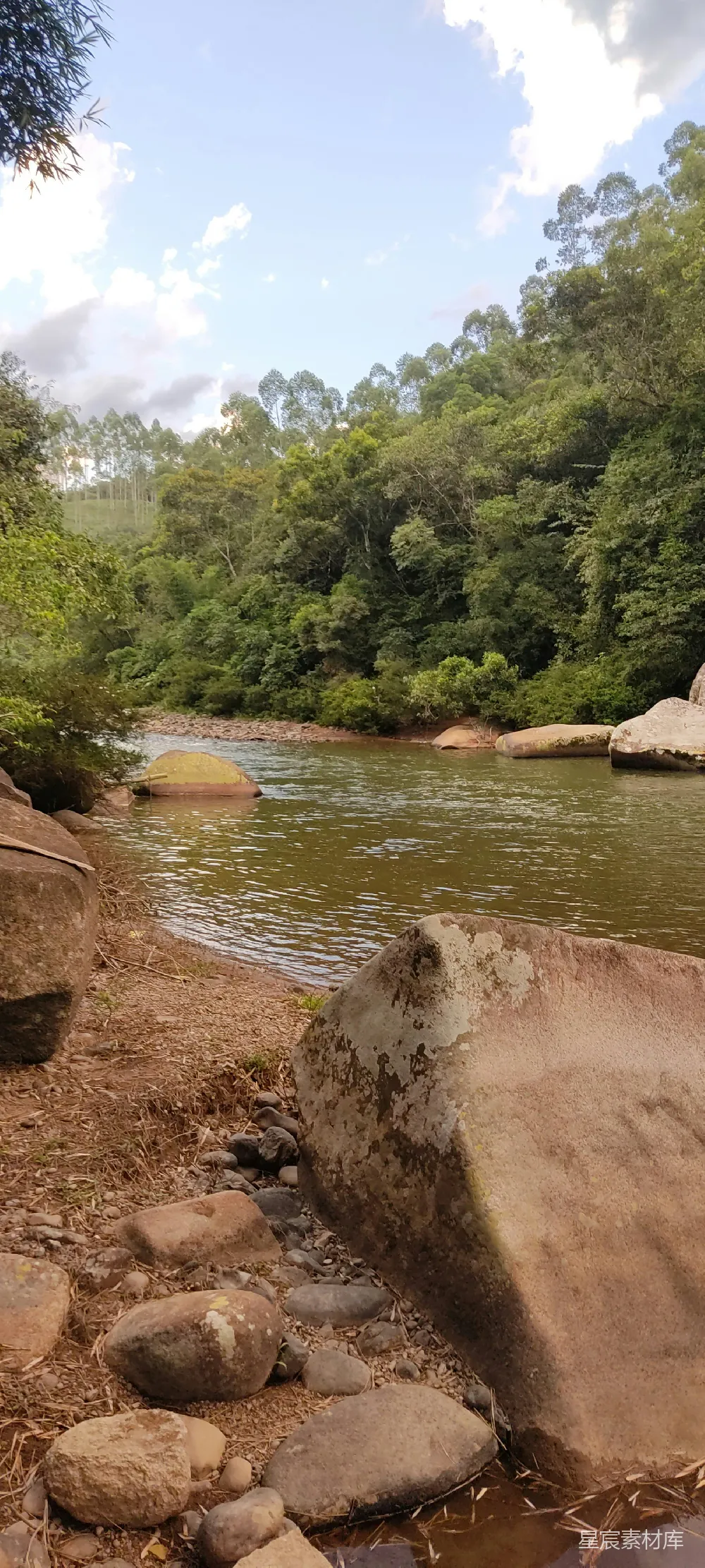 高清摄影 一条河流穿过一片茂密的绿林