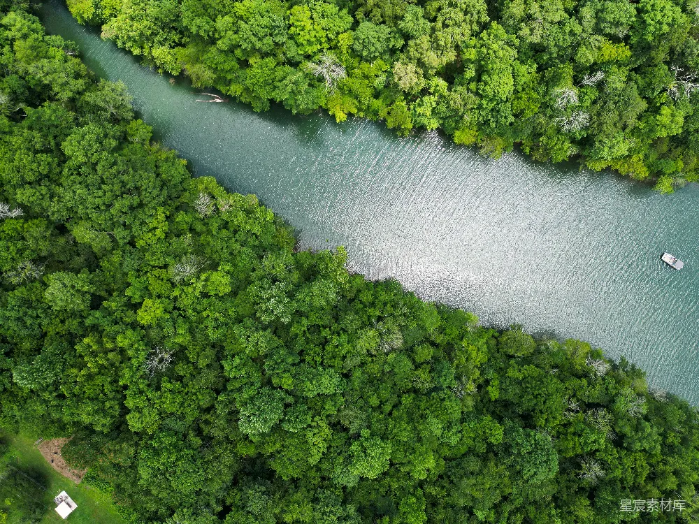 高清摄影 一条河流穿过一片浓绿的森林