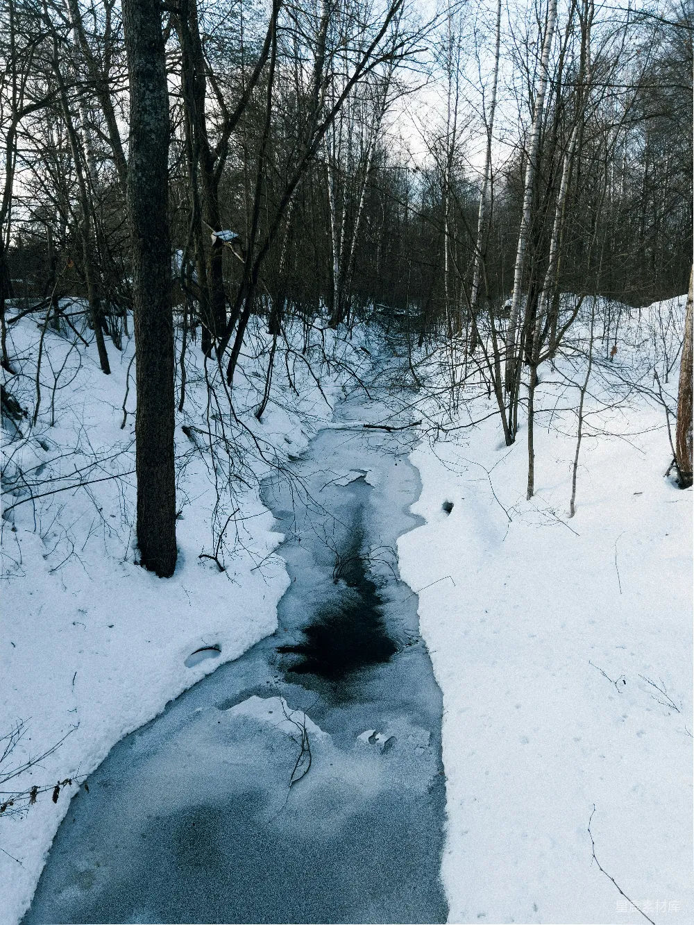 高清摄影  一条溪流穿过覆盖着白雪的森林