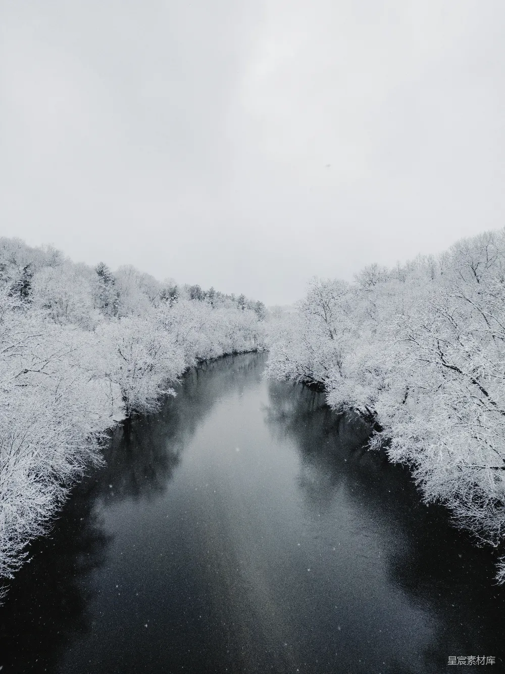 高清摄影 一片被雪覆盖的树木环绕的水域