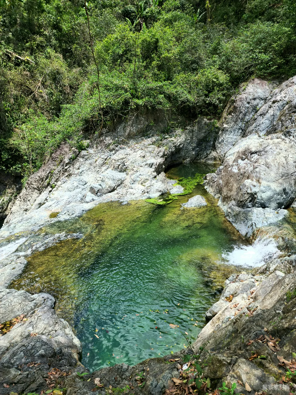 高清摄影 一洼水池被石头环绕着