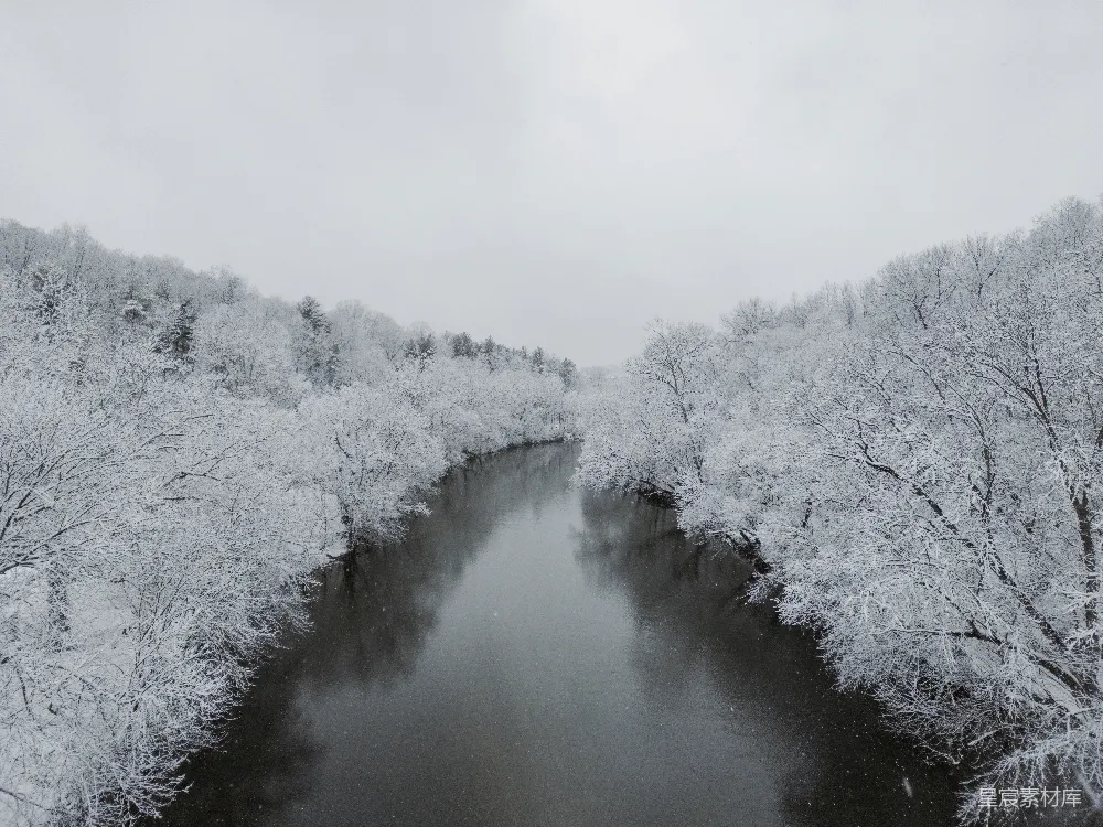 高清摄影 一条河流穿过覆盖着白雪的森林