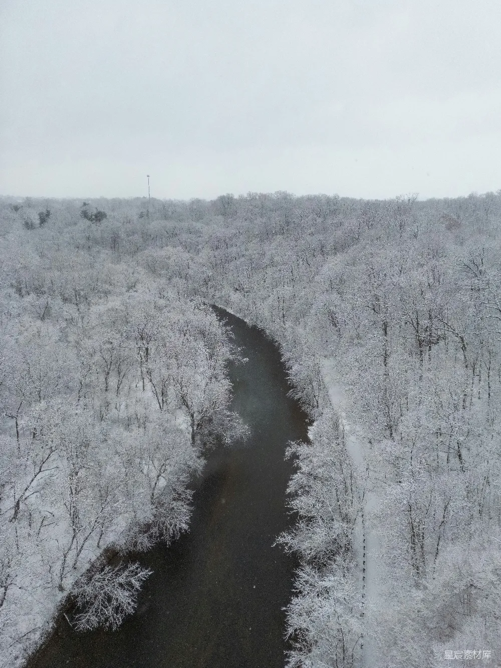 高清摄影 一条河流穿越一片覆盖着白雪的森林