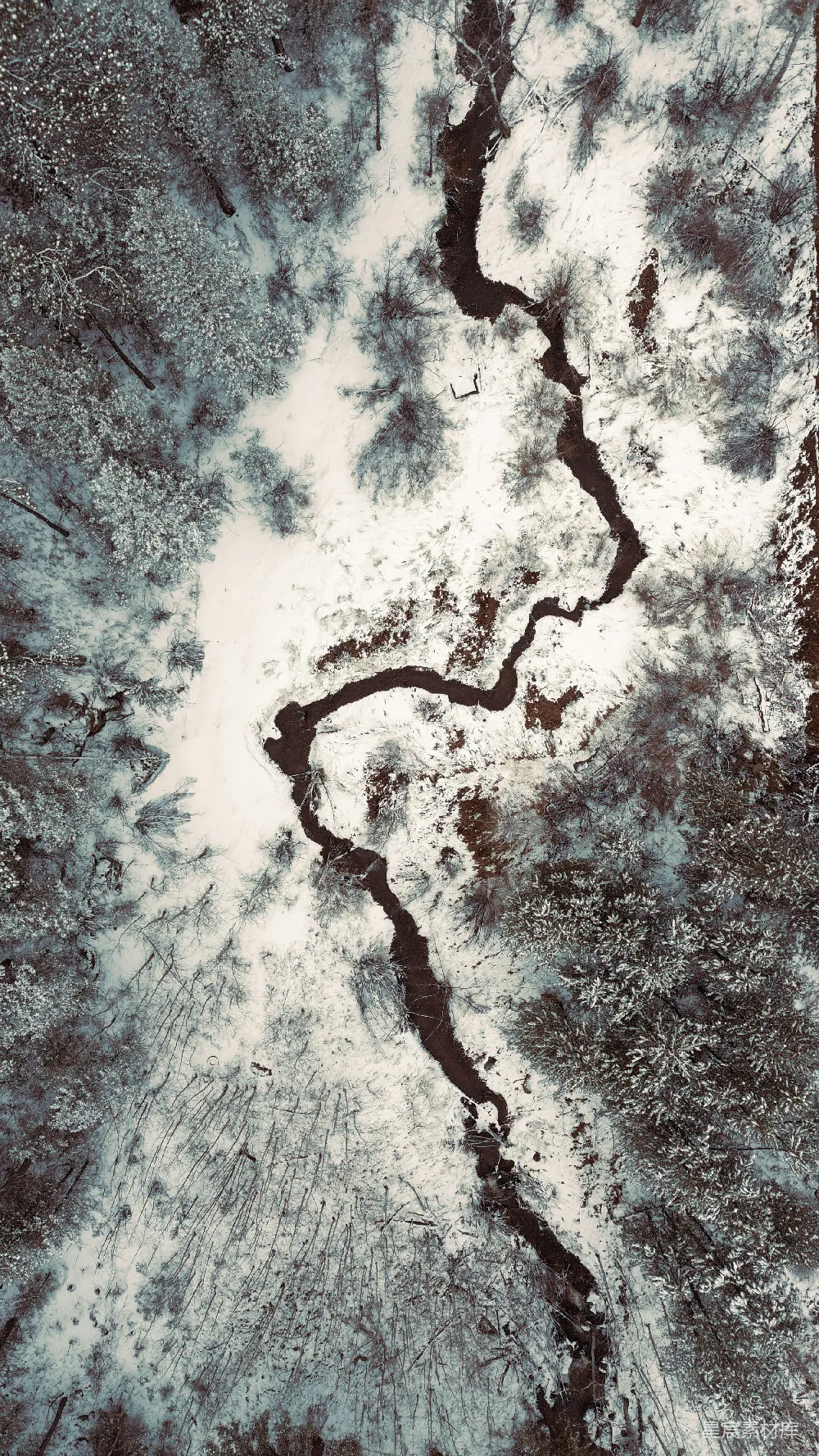 高清摄影 一条河流穿过覆有白雪的森林