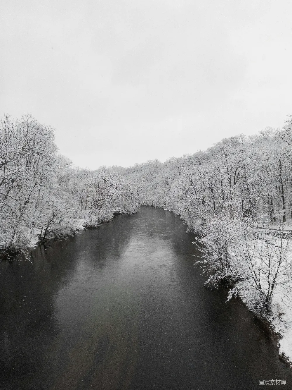 高清摄影 一条河流穿过一片覆雪的森林