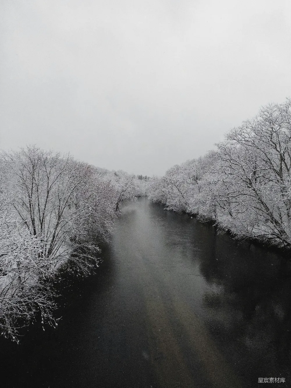 高清摄影 一条河流穿过覆盖着白雪的森林