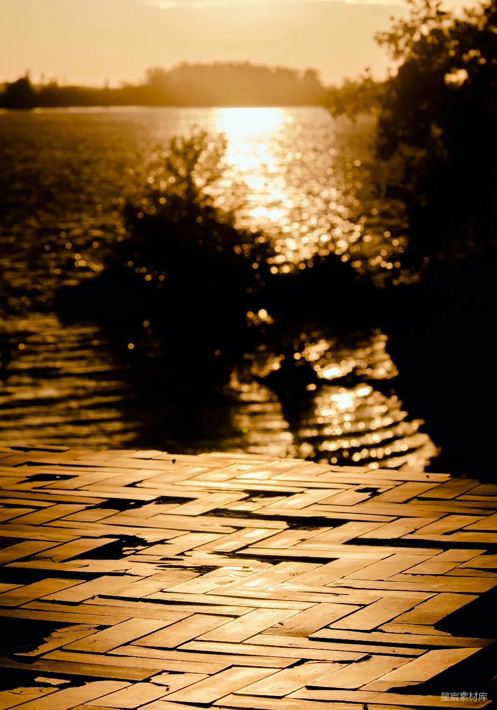 高清摄影 夕阳西下在一片水域之上