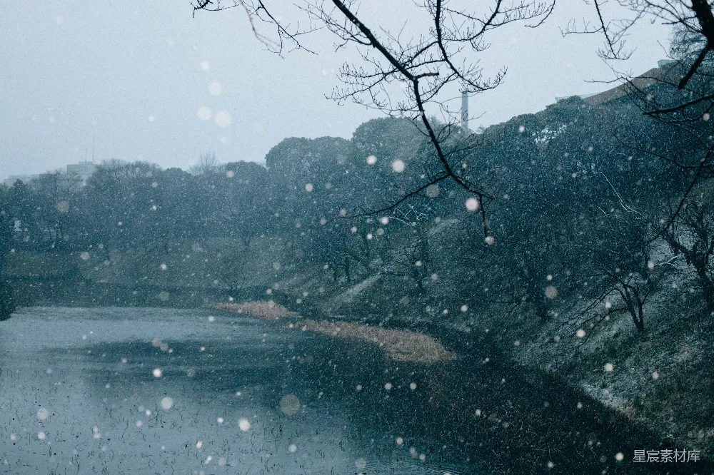 高清摄影 被树木覆盖着白雪的湖泊周边是一片树林