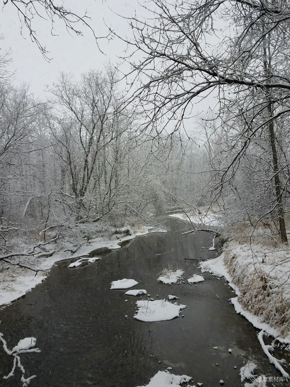 高清摄影 一条小溪穿过覆盖着白雪的森林