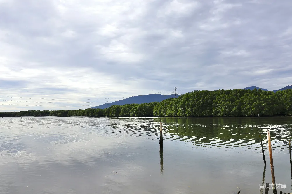 高清摄影 湖边有树木和山峰作为背景