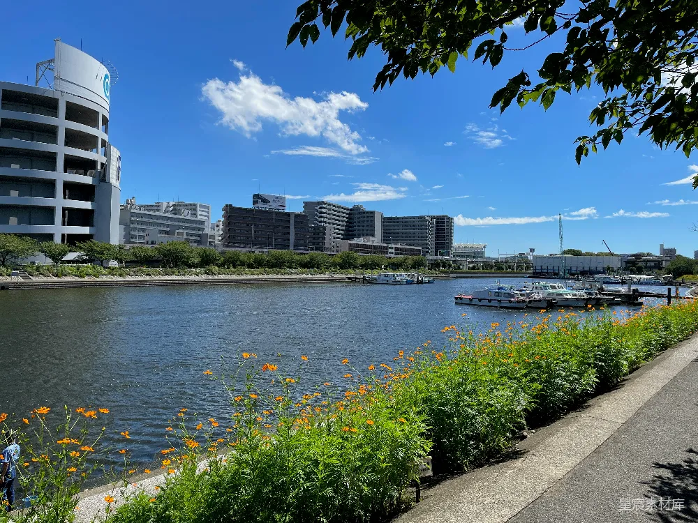 高清摄影 被高大建筑物围绕的一片水域