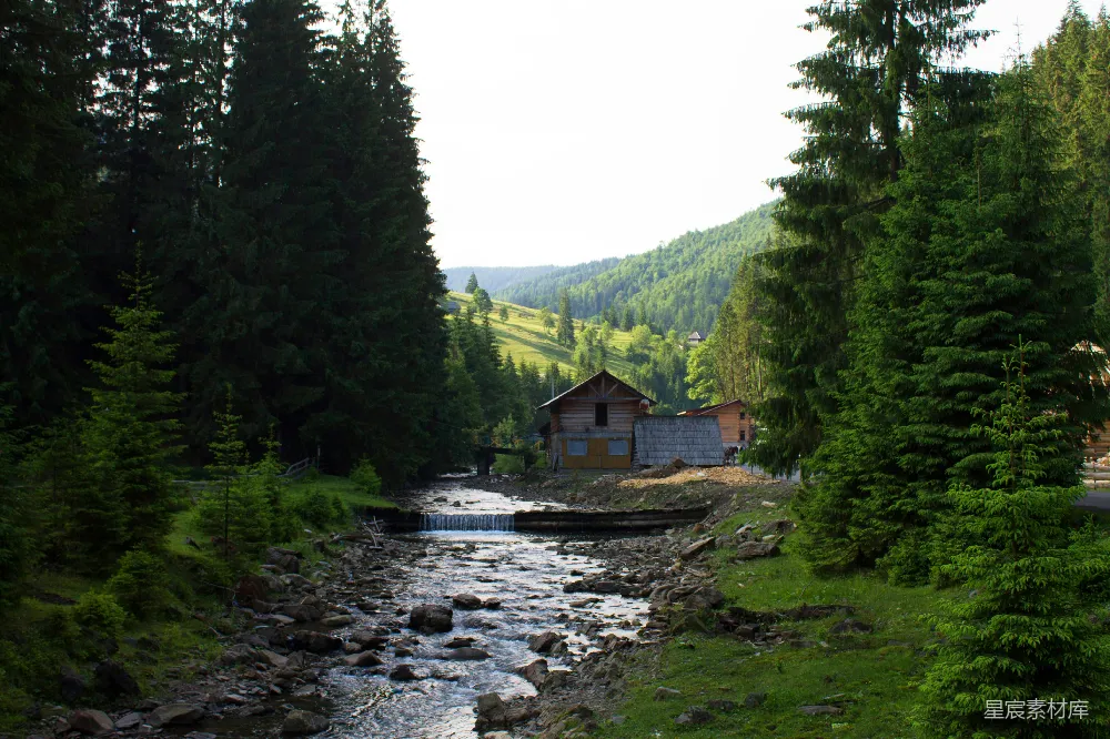高清摄影 河边林中的小屋