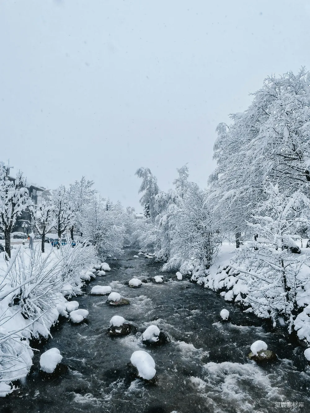 高清摄影 一条河流穿过覆盖着白雪的森林