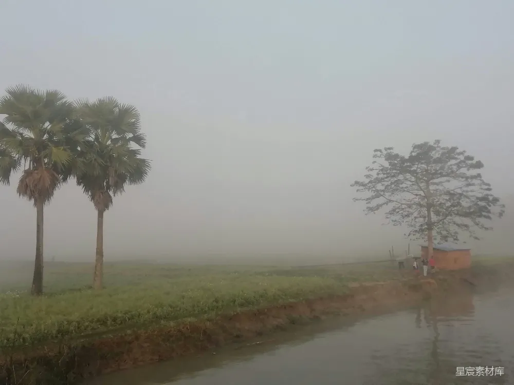 高清摄影 环绕着棕榈树的水域
