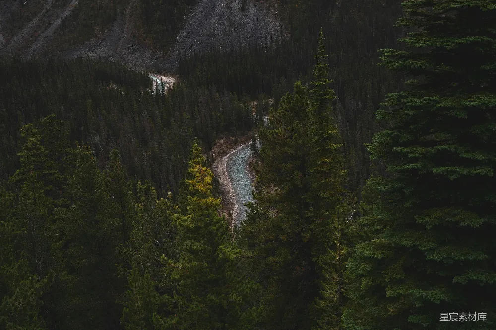 高清摄影 一条河流穿过一片森林，旁边是座山峰。
