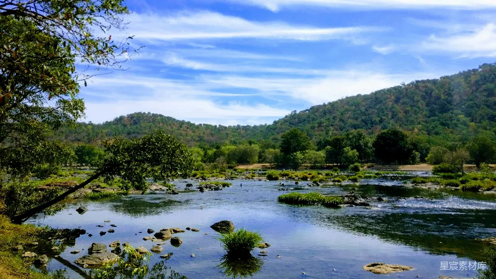 高清摄影 河边有树木和山丘在背景中