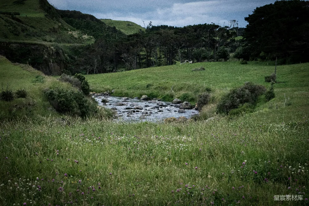 高清摄影  河边有树的背景