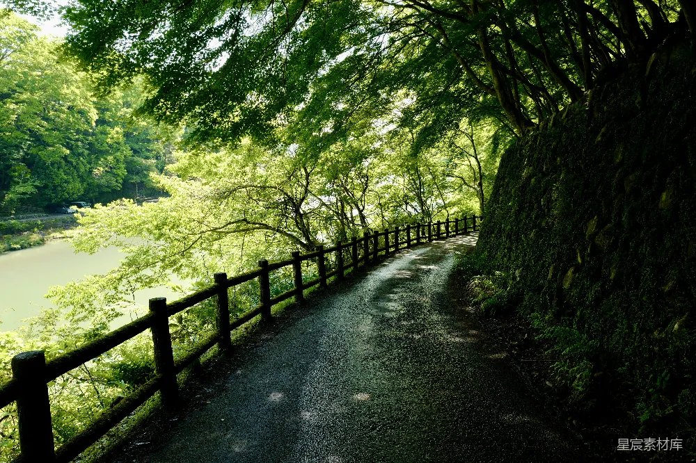 高清摄影 白天绿树之间的灰色混凝土道路