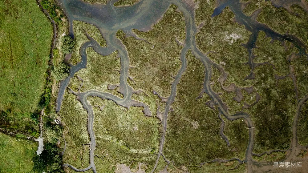 高清摄影 蓝白抽象绘画