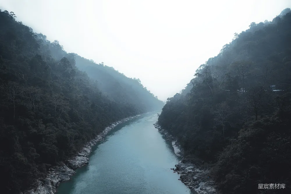 高清摄影 树间白天的水面