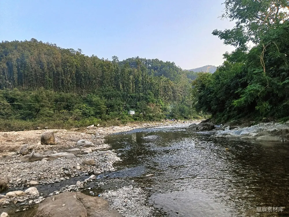 高清摄影 一条河流穿过一片浓绿的森林