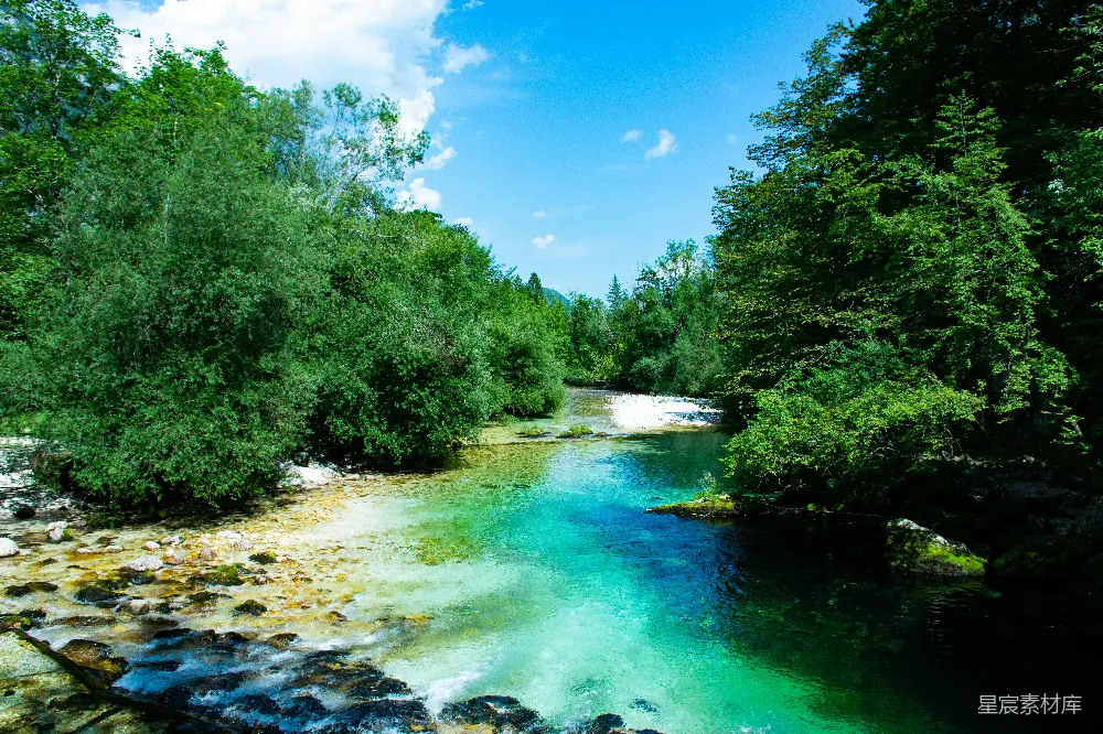 高清摄影 绿树傍河畔，蓝天白云间，白天景色。