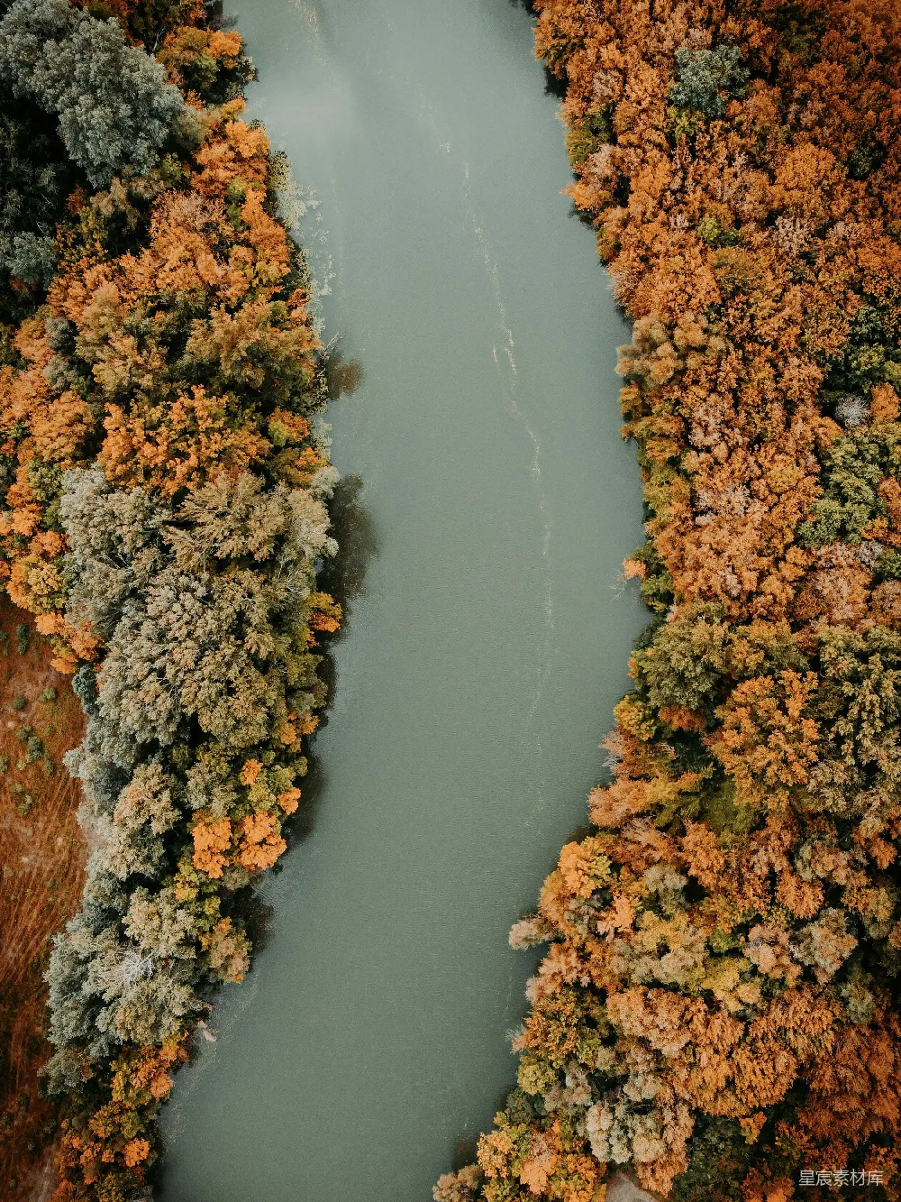 高清摄影 自然 河边被树木环绕的一条河流的空中俯视图