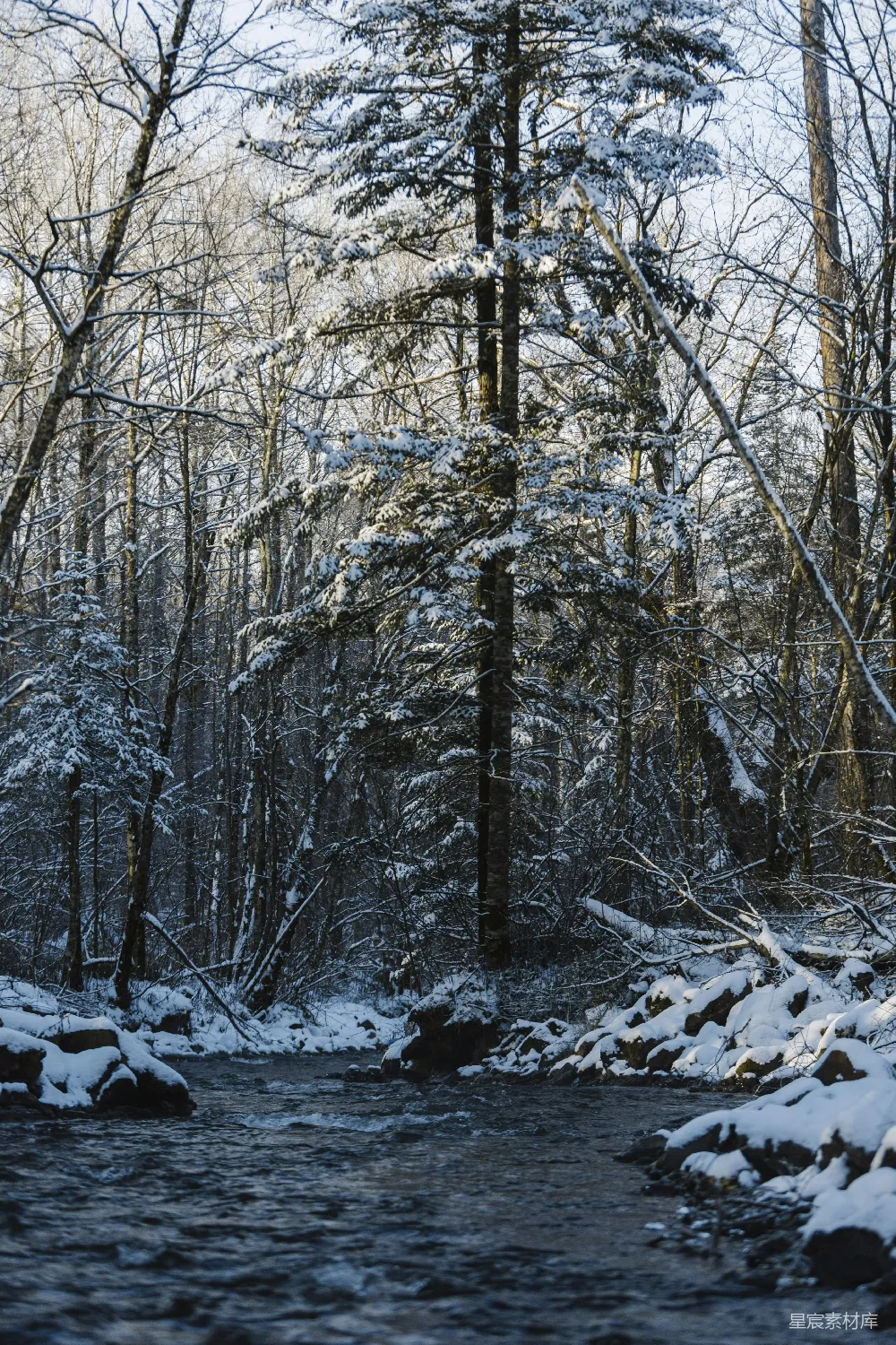 高清摄影 一条溪流穿过覆盖着白雪的森林