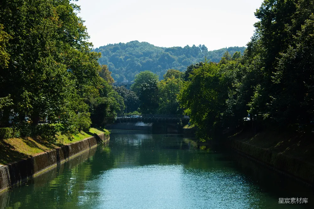 高清摄影 围绕着树木并且有一座桥的水域