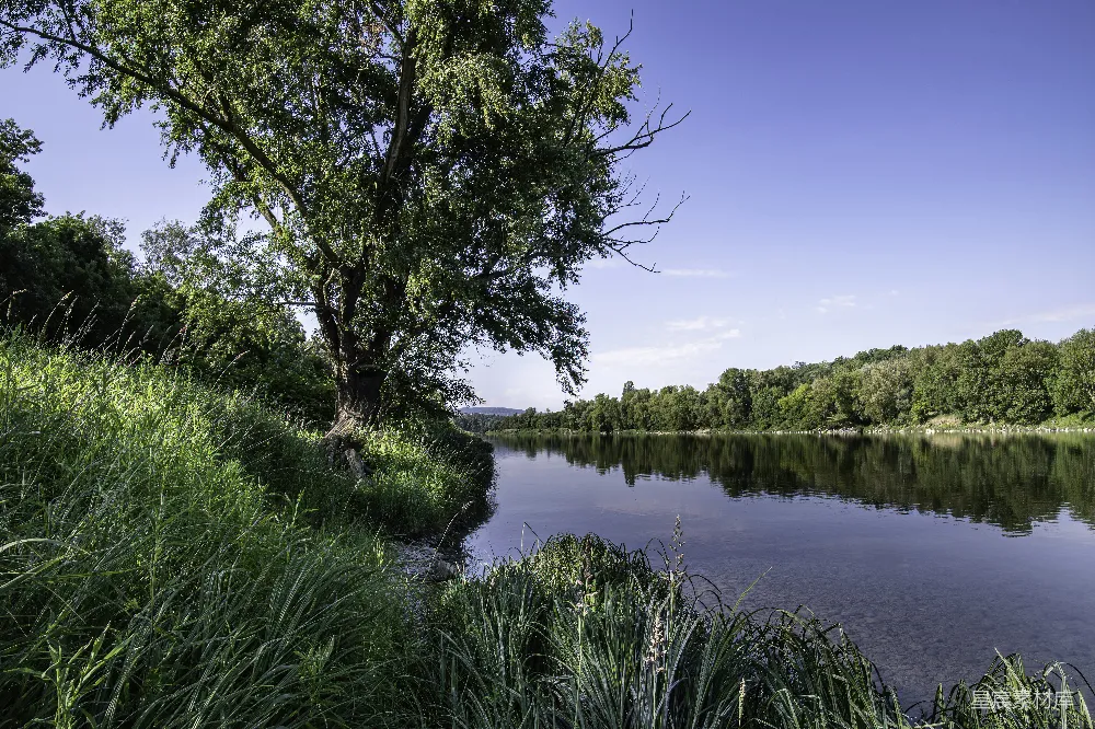 高清摄影 环绕着茂密绿草和树木的湖泊