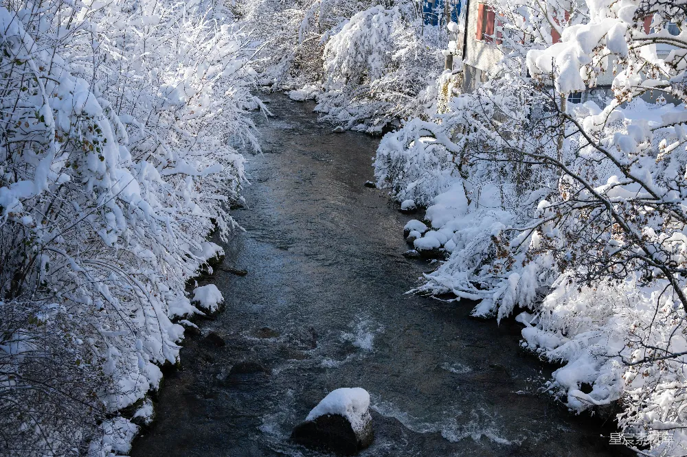 高清摄影 一条溪流穿过一片覆盖着白雪的森林