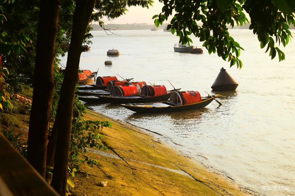 高清摄影 湖岸上一排 canoe 坐在岸边