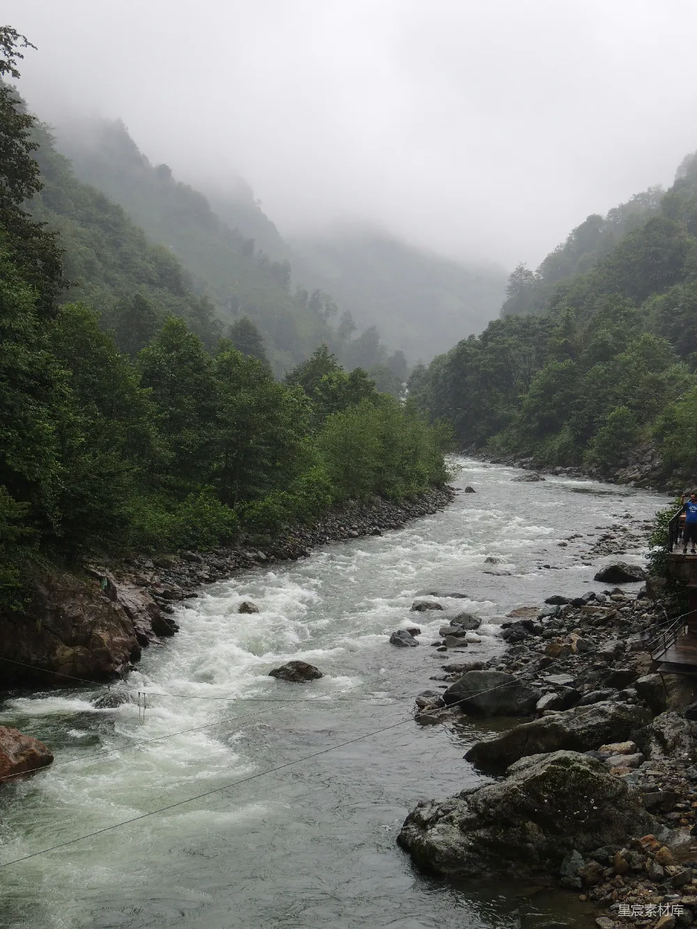 高清摄影 白天绿树之间的河流
