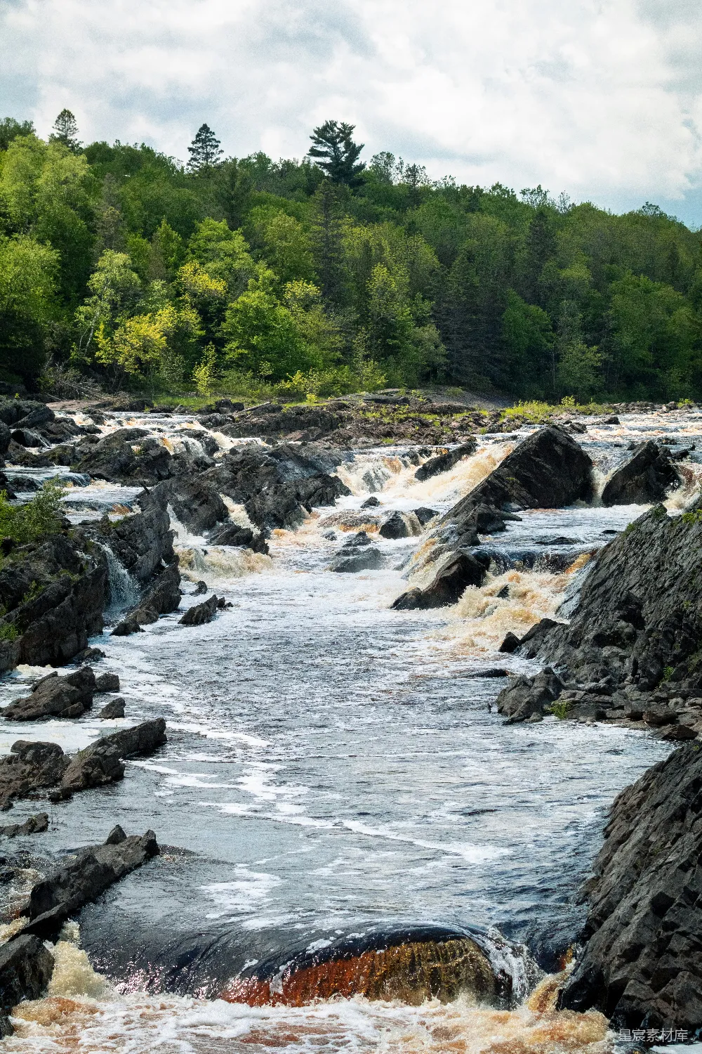 高清摄影 森林中白天的河流