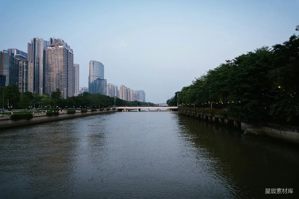 高清摄影 白天河边的绿树
