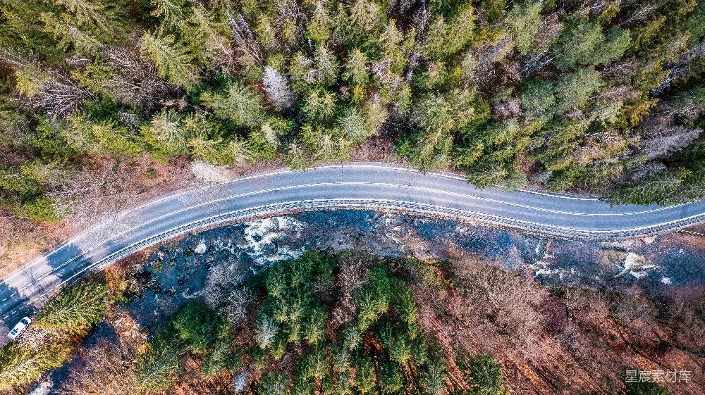 高清摄影  树木中间的空中道路概览