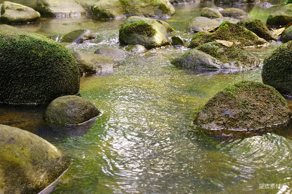高清摄影 溪边长满青苔的岩石周围流水潺潺。