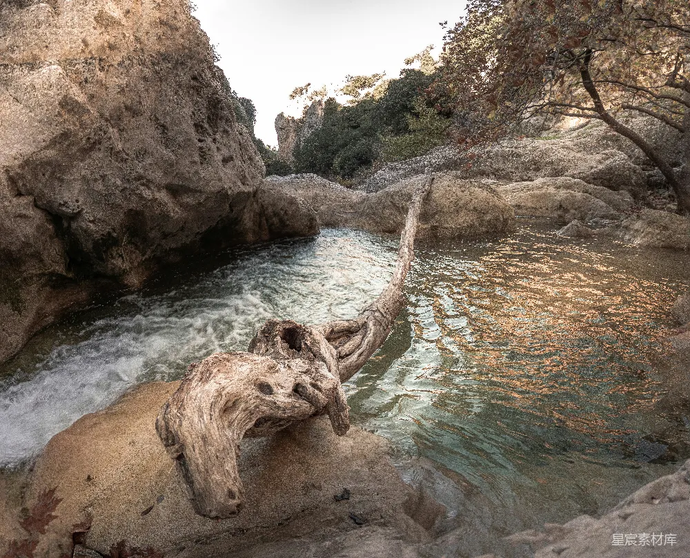 高清摄影 自然景观 枯木 湍流 岩石 宁静 倒下的树躺在河边的一块岩石旁边。