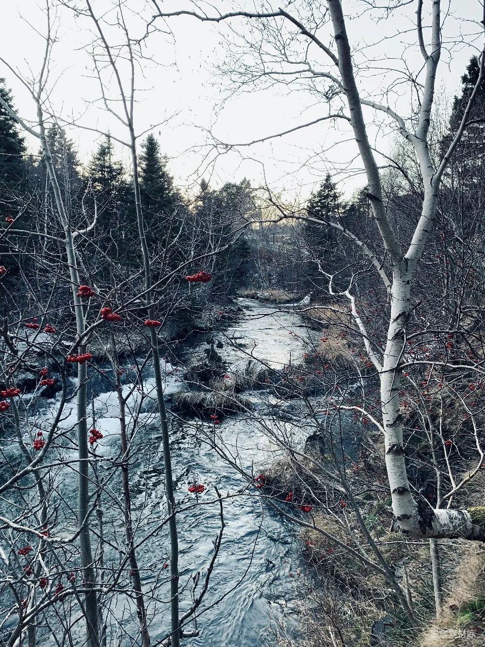 高清摄影 河边有雪的河流