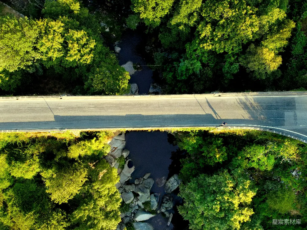 高清摄影 绿树与道路的空中俯视图