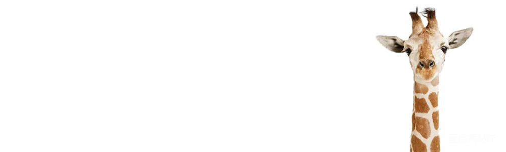 元素素材 长颈鹿