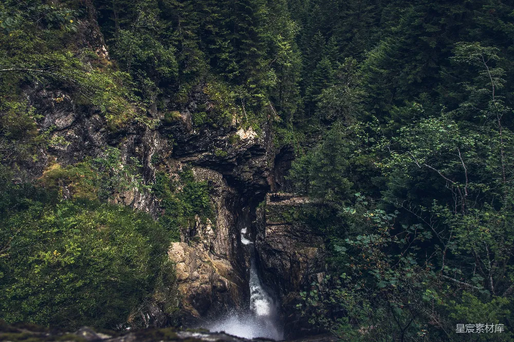 高清摄影 白天瀑布周围有树木 surrounds with trees 的瀑布 在 白天 风景 如此 绚丽