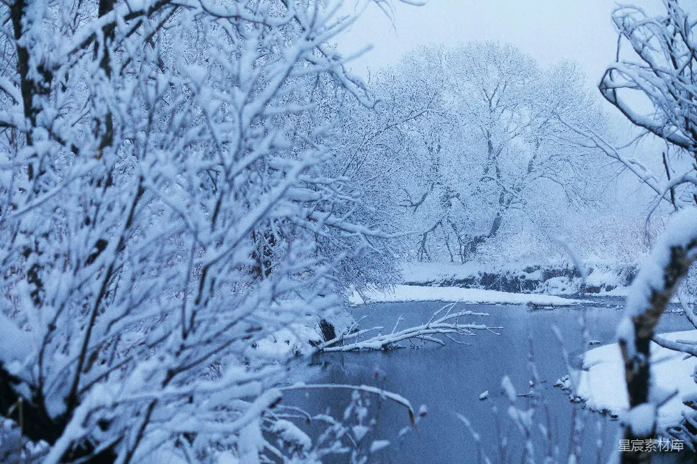 高清摄影 覆盖着白雪的树木和河流