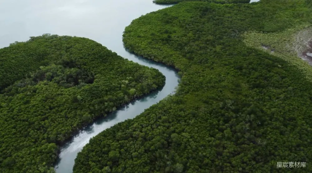 高清摄影 蜿蜒的河流在茂密的绿色森林中穿过 aerial 视角