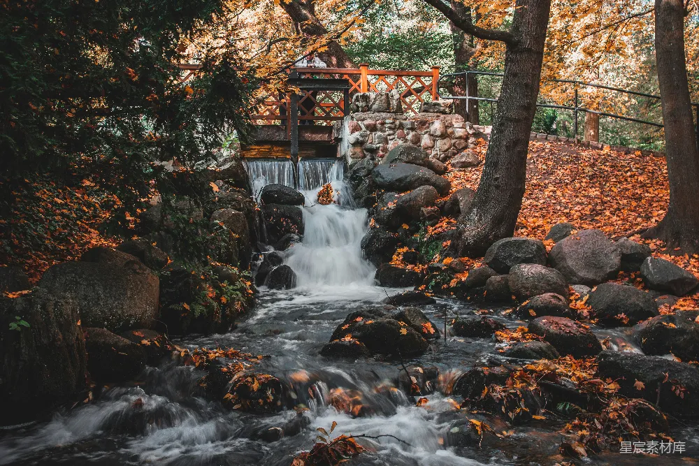 高清摄影 瀑布和树，树