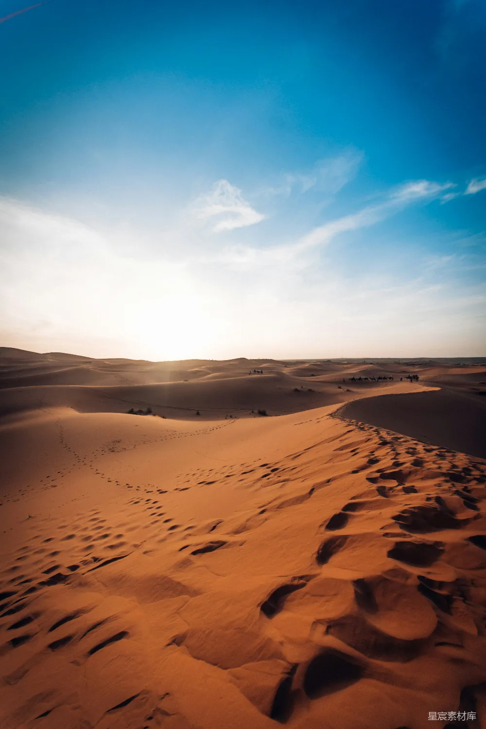 高清摄影  沙 desert