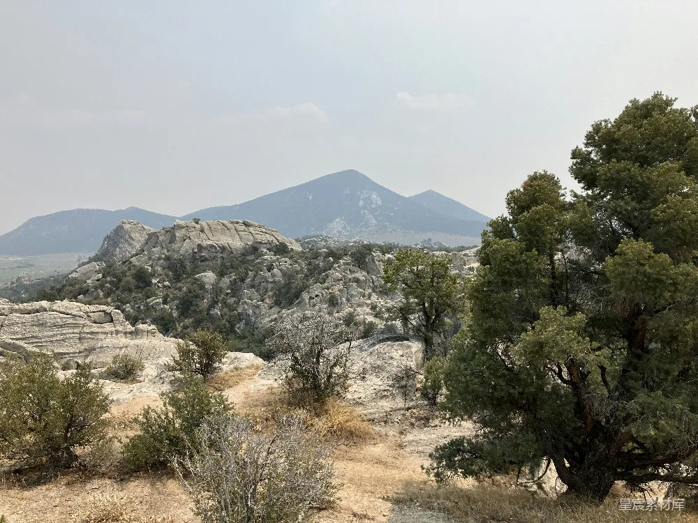 高清摄影 前景中有树木的山峦景色