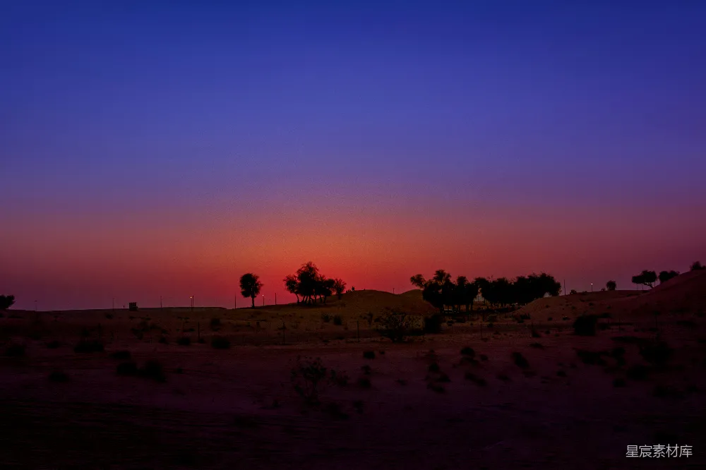 高清摄影 沙漠中的夕阳，前景中有树木。