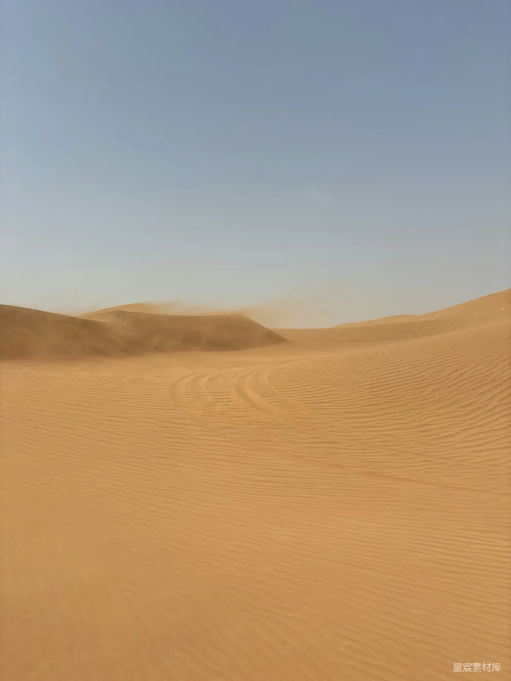 高清摄影 背景是一片沙地，天空是蓝色的。